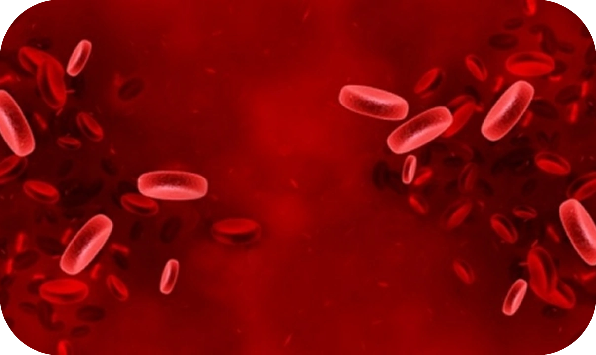 Immunohematology And Blood Transfusion Medicine