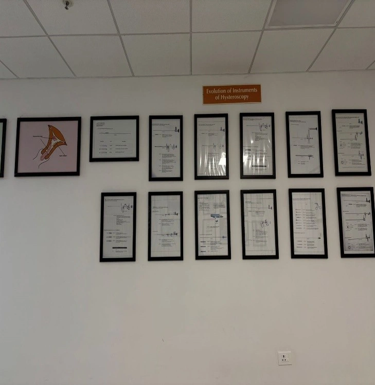 School of Hysteroscopy