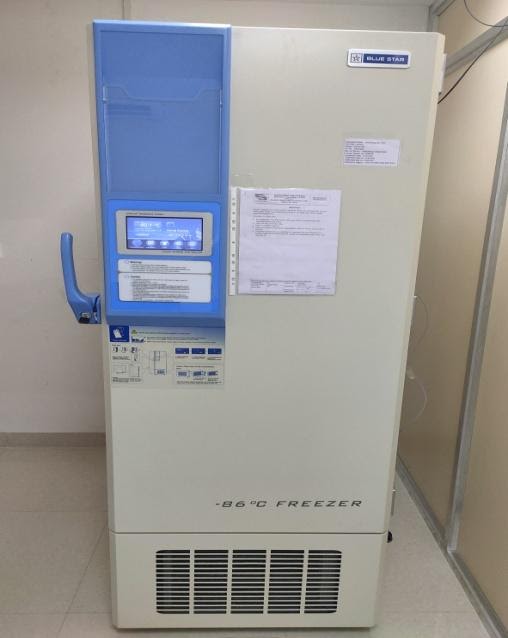 Refrigerator (-80˚C)