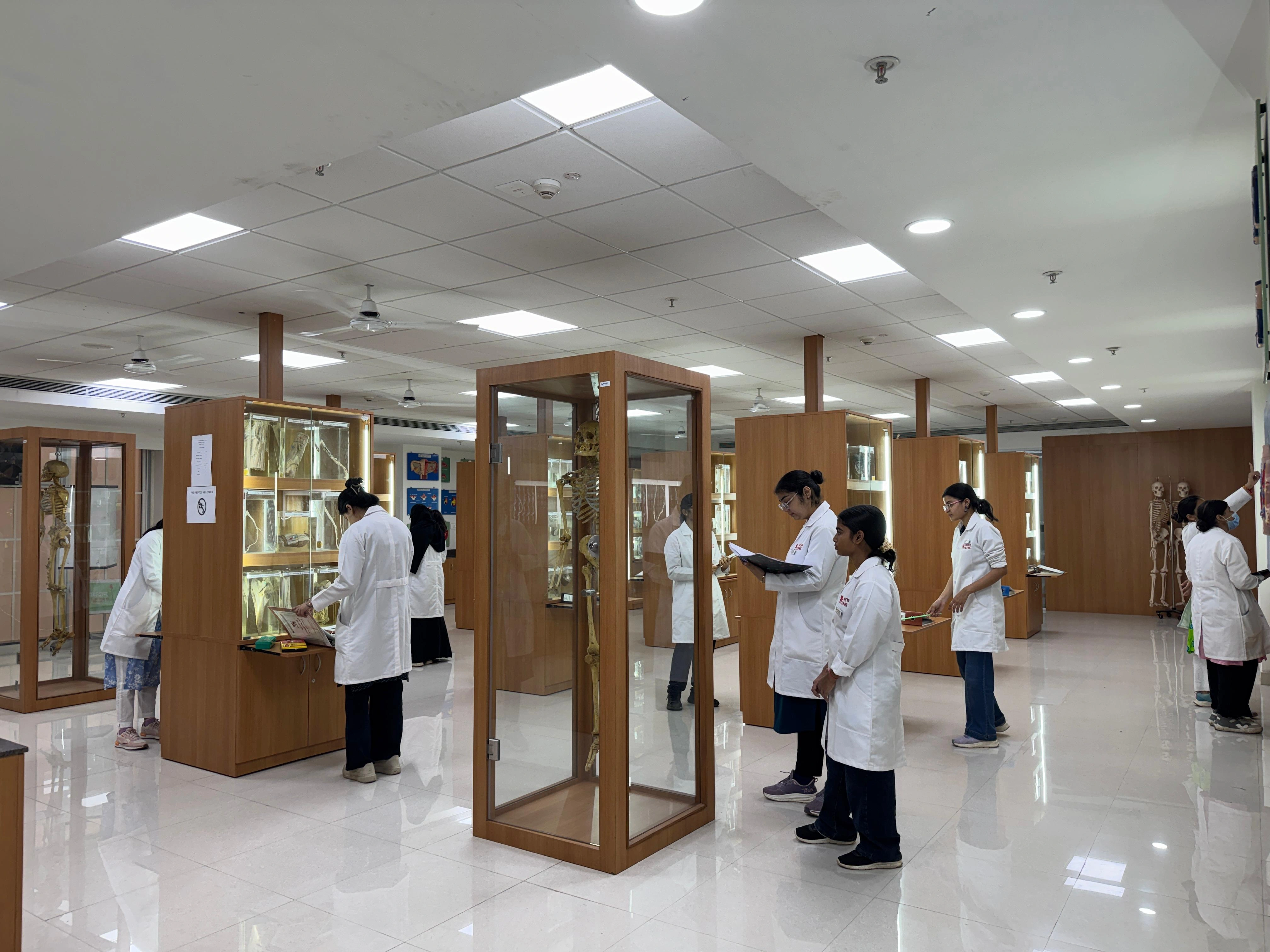 Anatomy Museum