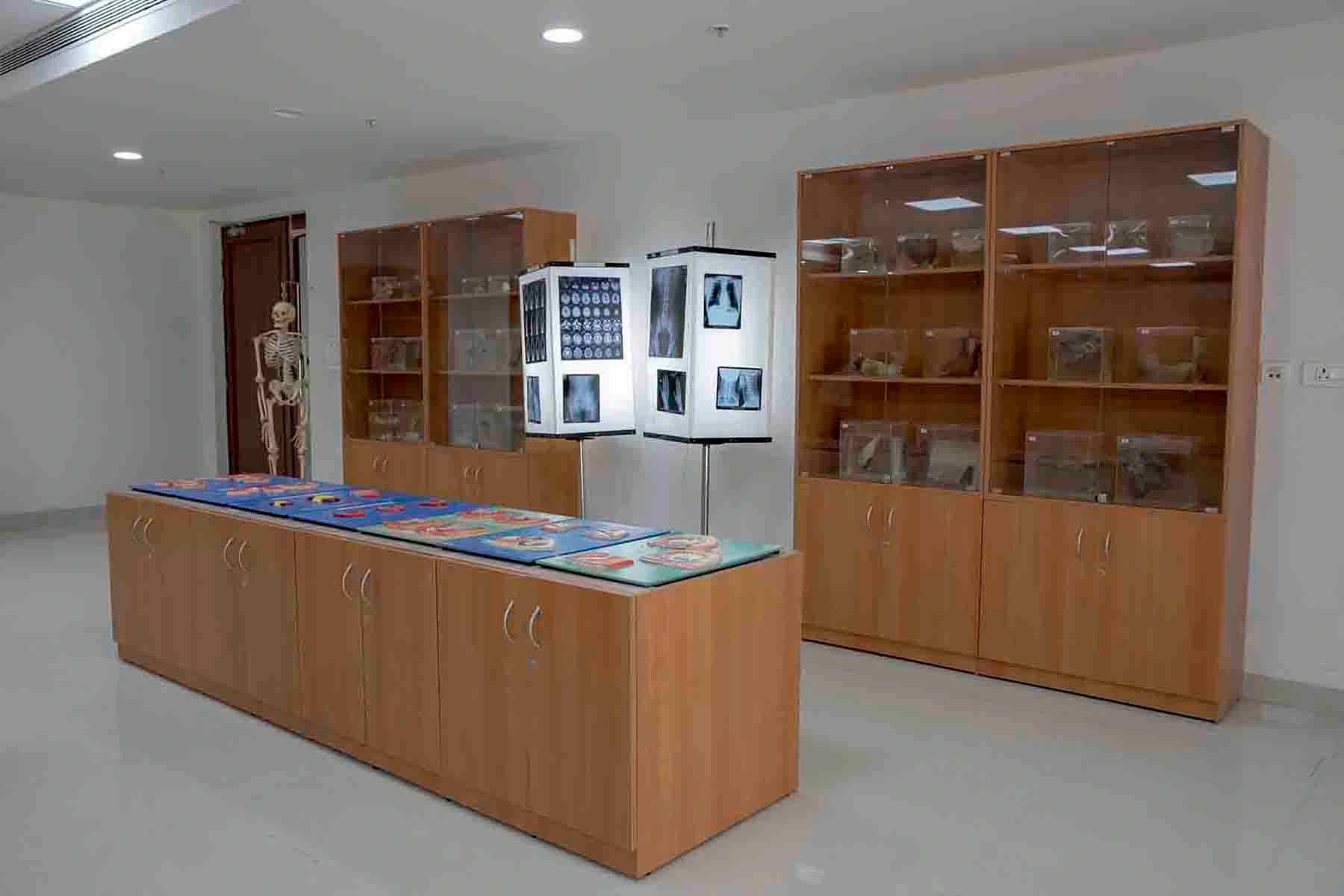 Anatomy Museum