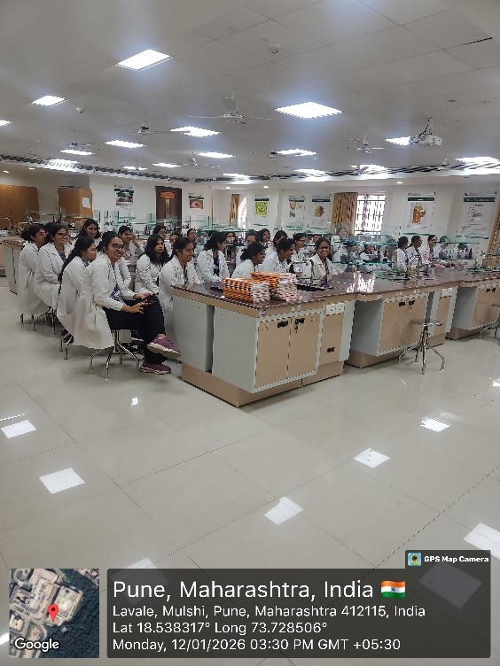 Undergraduate Laboratory