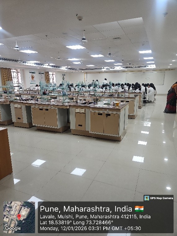 Undergraduate Laboratory